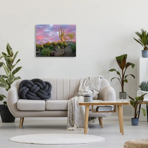 Miniatura 3 de Stupell Industries Lienzo decorativo para pared, diseño de plantas de cactus áridos con salida del sol rosa, diseño de Dennis Frates