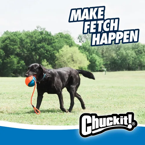 Miniatura 7 de Chuckit! Juguete de cuerda para perros - Bola en cuerda para buscar y tirar para perros - Construcción duradera de goma EVA - Diámetro de 5.5