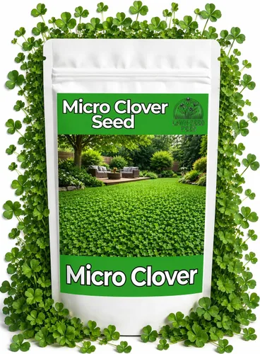 Micro Clover - (8 onzas) recubierto de nitro, 120,000 semillas en total - Cubre hasta 1,000 pies cuadrados. Transforma tu césped con semillas