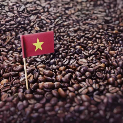 Miniatura 4 de Kaya Kopi Granos de café arábica Kopi Luwak de Indonesia Wild Palm Civets (miel kopi, 3.52 onzas (paquete de 1))