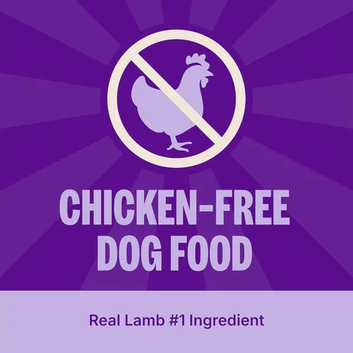 Miniatura 2 de Wellness Natural Pet Food Simple Natural - Alimento seco para perros con ingredientes limitados, receta de cordero y avena, bolsa de 26 libras