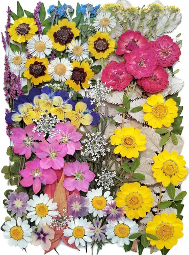 Miniatura 13 de 100 piezas de hojas verdes prensadas secas reales, herbario de plantas naturales para bricolaje, moldes de resina, fabricación de joyas y Verde-100
