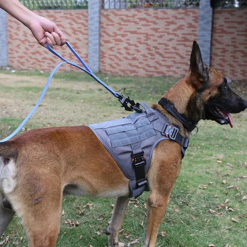 Miniatura 2 de ICEFANG Arnés táctico para perro con 4 hebillas de metal, chaleco, equipo para transportar carga, ligero y modular para perro con asa, sin correa