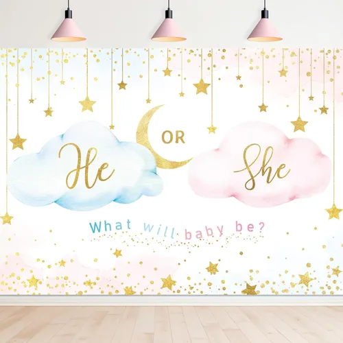 Newsely Telón de fondo de revelación de género de 7 pulgadas de ancho x 5 pulgadas de alto, para niño o niña, nube rosa con texto en inglés «What
