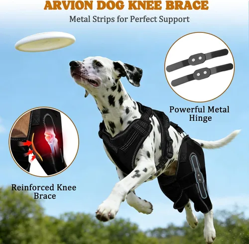 Miniatura 6 de Rodilleras de perro para la pierna trasera, tirantes ajustables para piernas de perro para desgarro de ligamento cruzado anterior