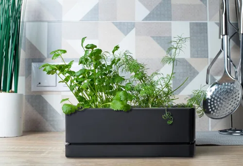 Miniatura 3 de D'vine Dev - Maceta para ventana de 12 pulgadas, maceta rectangular de plástico para hierbas con agujeros de drenaje y plato, maceta de suculentas