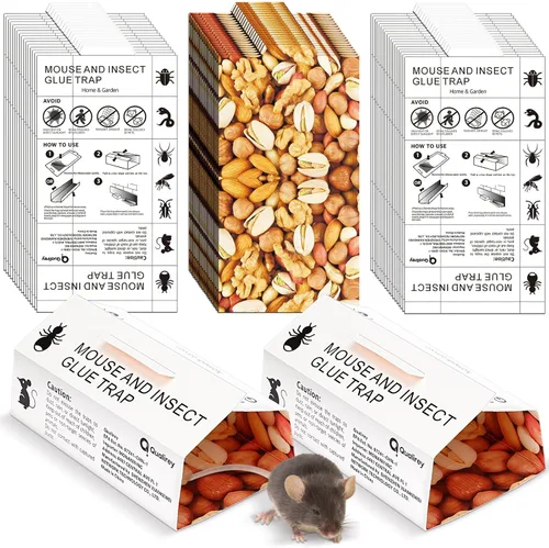 Qualirey Paquete de 30 trampas adhesivas para ratones, ratones e insectos, peso de hasta 10.58 onzas, almohadillas para interiores y exteriores,