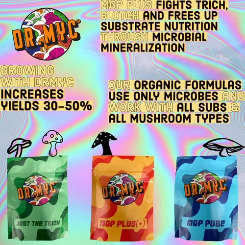 Miniatura 5 de DRMyc. com - MGP Plus - Promotor de crecimiento para sustratos de hongos. MGP aumenta la velocidad de colonización, rendimientos, tamaño de fruta