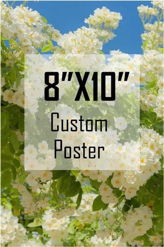 Miniatura 17 de ZXDZSM Póster de lienzo personalizado (sin marco, 24 x 36 pulgadas): sube tu imagen/foto - Foto personalizada a impresión de póster, impresiones