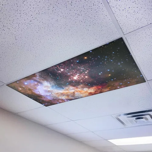 Cubierta magnética de luz fluorescente para luces de techo de aula 2 x 4 – Filtro magnético de luz de oficina de alta resolución (paquete de 1) –