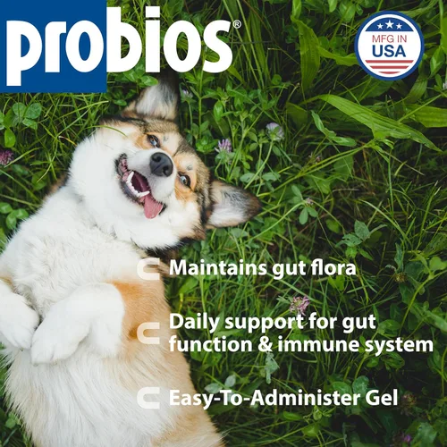 Miniatura 2 de Probios Probiocin - Gel oral para mascotas para perros y gatos, suplemento probiótico para apoyo digestivo e inmunológico, tubo de 0.51 onzas