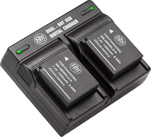 BM - Paquete de 2 baterías DMW-BLG10 y cargador de batería dual para Panasonic Lumix DC-ZS200, ZS300, DC-G100, ZS70, ZS80, ZS99, DC-GX9, DMC-GX80,