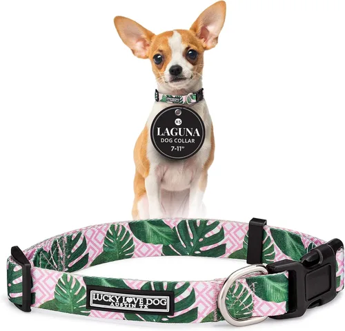 Miniatura 88 de Lucky Love Dog - Collar para perras pequeñas, diseño Blackbird de estampado alegre con flores de primavera y verano, talla XS