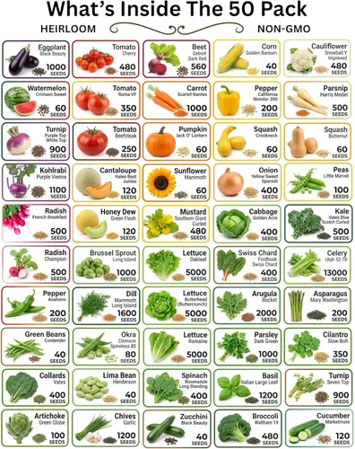Miniatura 8 de B&KM Farms Más de 30,000 semillas de supervivencia Kit de suministro para más de 5 años. 50 semillas de frutas y verduras sin OMG para plantar un