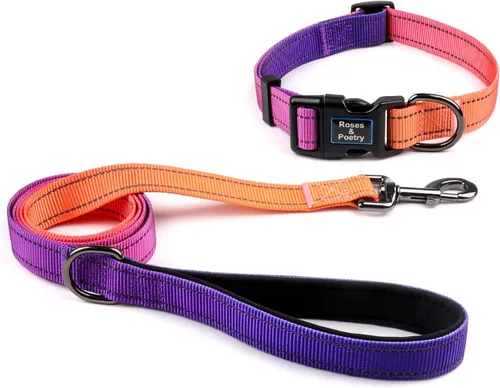Roses&Poetry Juego de collar y correa reflectante para perro, collar y correa de perro martingala morado para perros medianos, collares ajustables