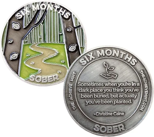 Miniatura 25 de Ficha sobria de 8 meses Chip sobrio de ocho meses Regalo no AA, medallones no religiosos para hombres y mujeres que celebran la sobriedad