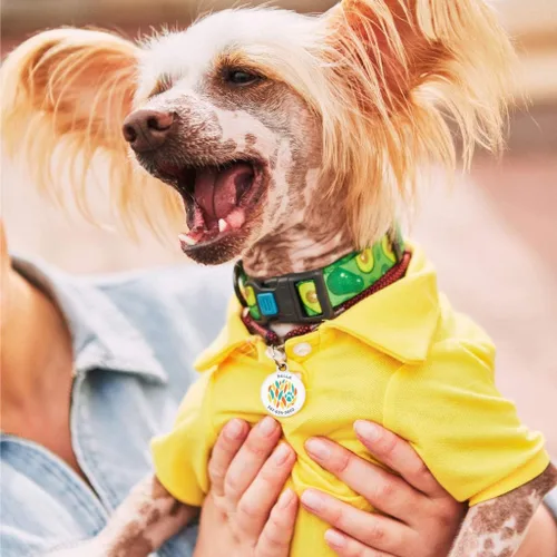Miniatura 5 de Placa de identificación de perro con código QR, placa de identificación de mascota silenciosa grabada con perfil en línea («diseño de pata»)