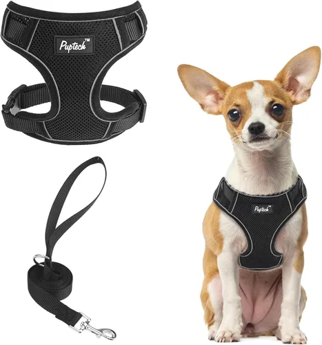 Miniatura 53 de PUPTECK Juego de arnés y correa para perro pequeño, arnés ajustable sin tirones para cachorro, chaleco de malla suave reflectante para mascotas