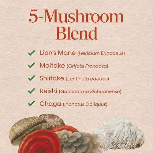 Miniatura 3 de Nature's Way Mezcla de 5 hongos, con melena de león, shiitake, reishi, maitake, hongo chaga, 60 cápsulas veganas