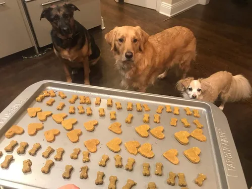 Miniatura 3 de Wag Doh - Masa de galletas 100% natural para perros