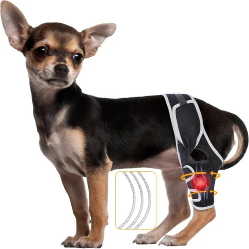Soporte ajustable para piernas de perro para desgarros de Acl y Ccl, soporte ligero y duradero para curación de articulaciones, recuperación