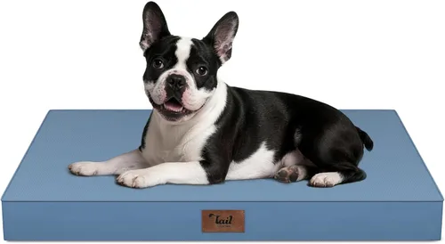 Miniatura 67 de Cama ortopédica de felpa para perros y cachorros medianos, camas impermeables para perros de 30 x 20 pulgadas con funda extraíble lavable, tapete