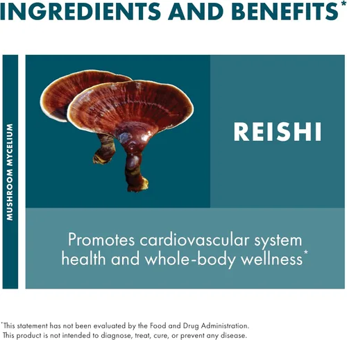 Miniatura 6 de Host Defense Reishi Powder - Polvo de micelio de hongos - Suplemento de apoyo para la salud del corazón y el sistema inmunológico - Suplemento