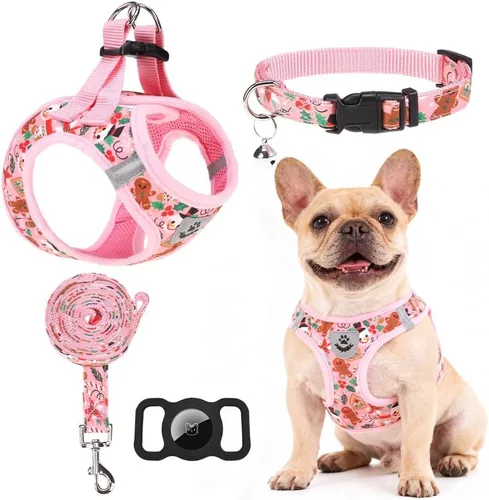 Miniatura 29 de EXPAWLORER Arnés Clásico de Plátanos para Cachorros - Juego de Arnés y Correa para Perros Pequeños - Juego de Collar y Correa para Perros con Azul