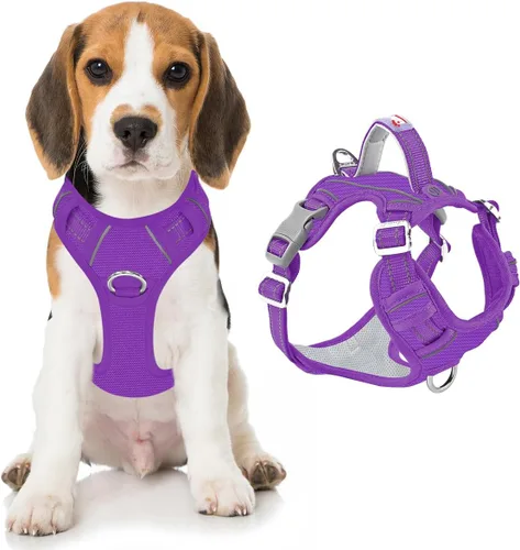 Miniatura 45 de BARKBAY Arnés para perro sin tirones con bolsillo para etiqueta de identificación, resistente, reflectante, fácil control para perros grandes