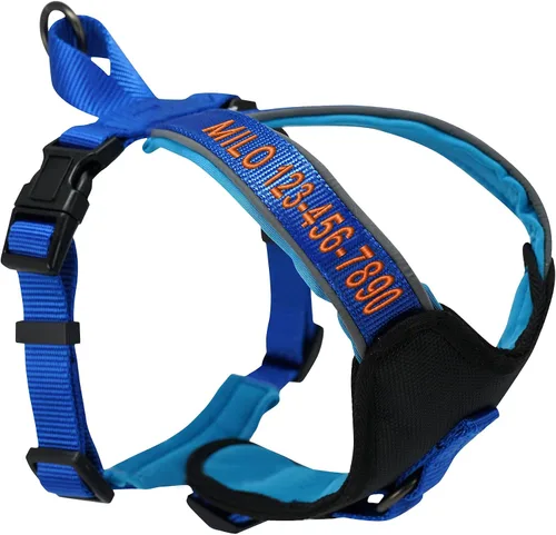 Miniatura 14 de Arnés para perro Pawtitas para entrenamiento de suave, ajustable, reflectante, acolchado para cachorros, Azul