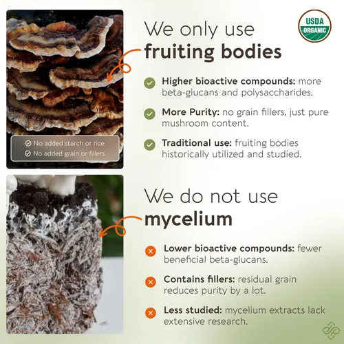 Miniatura 6 de Organic Emperor 4 - Extracto de suplemento en polvo de mezcla de hongos 3.53 oz Melena de león, Reishi, Cordyceps, cola de pavo Cuerpo