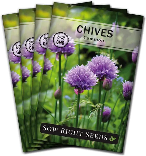 Miniatura 8 de Sow Right Seeds - Semilla de cebollino para plantar - reliquia sin OMG; instrucciones para plantar y cultivar hierbas de cocina, jardín