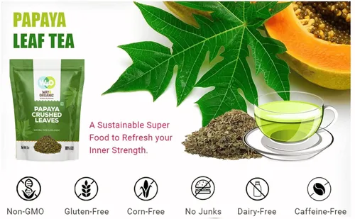 Miniatura 9 de Té de hoja de papaya de 8 onzas, secado de hojas verdes frescas, bueno para hacer té, hojas 100% sueltas (sin fruta, sin semillas) – Way4Organic