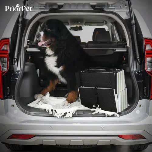 Miniatura 6 de PRIORPET - Escalera para perros grandes, con marca que brilla en la oscuridad, rampa plegable para automóvil y VUD pequeño, superficie