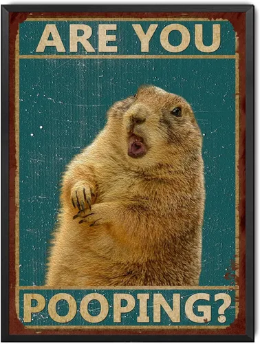 Miniatura 15 de LIUAXICIA Letreros divertidos de hojalata con texto en inglés "Dog are You Pooping", decoración de pared para baño, baño, decoración para amantes