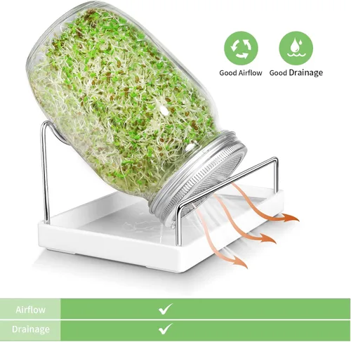 Miniatura 9 de Kit de tarros de germinación de semillas – 2 tarros de masón de boca ancha con tapas de germinación de acero inoxidable 316, bandeja de goteo