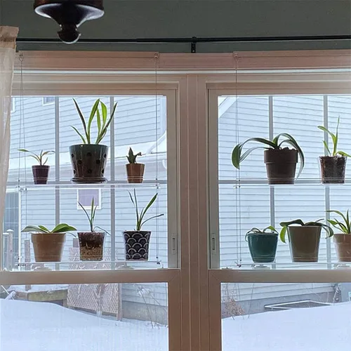 Miniatura 3 de Estantes acrílicos para plantas de ventana, estante de pared flotante colgante transparente, estante para macetas, estante para plantas de ventana