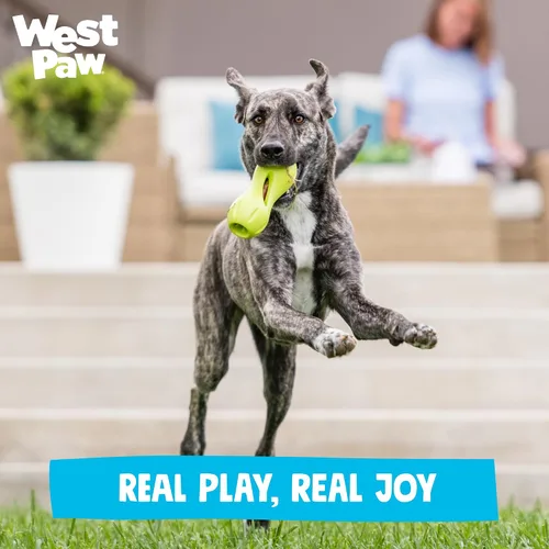 Miniatura 9 de West Paw Design, Juguete para perro Qwizl Aqua Pequeño