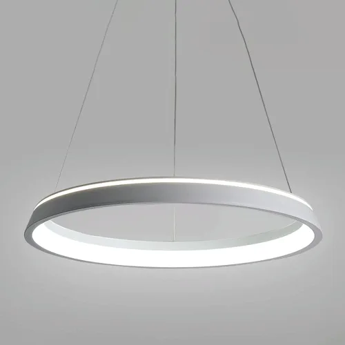 Miniatura 4 de Modern Ring Pendant Light Single Head Acrylic Iris Shade Aluminum Chandelier Cool White 6000K Bedroom Ceiling Lighting Living Room Decorative