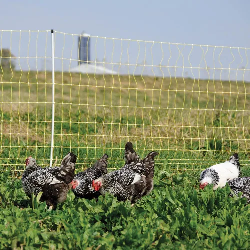 Miniatura 4 de Premier 1 Red eléctrica portátil para pollo con postes incorporados, 48 pulgadas de alto x 164 pies de largo, valla amarilla para aves de corral
