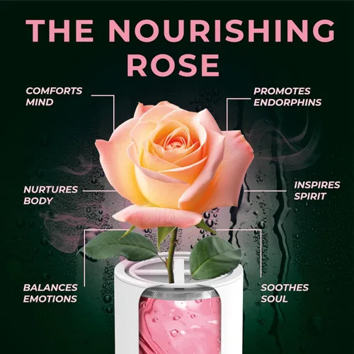 Miniatura 4 de AquaHomeGroup Cartucho de filtro de ducha con vitamina C E y A con aroma a rosa, reduce el cloro y la cloramina, apoya la piel y el cabello, se