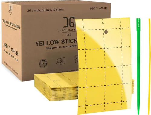 Catchmaster GRO - Trampas adhesivas regulares de doble cara amarillas, paquete de 36 unidades, trampa adhesiva para insectos y moscas de la fruta,