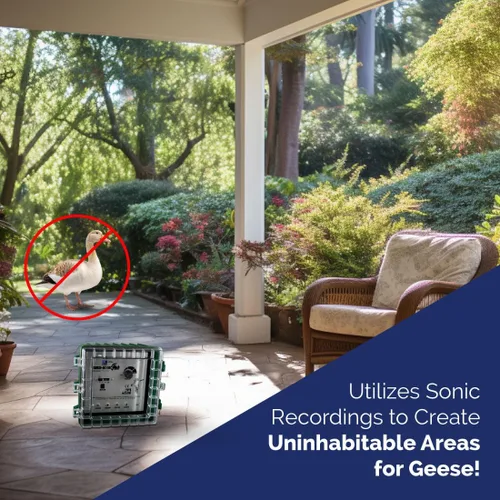 Miniatura 6 de Bird-X GooseBuster, dispositivo de señuelo de ganso sónico con 4 altavoces, utiliza sonidos grabados naturalmente, fácil de instalar, cubre hasta 7