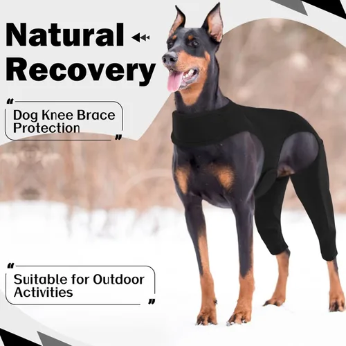Miniatura 4 de ROZKITCH Manga para Pata Trasera de Perro para Pata Derecha e Izquierda, Protector de Codo Ajustable para Mascotas que Previene Lamer Heridas, Manga