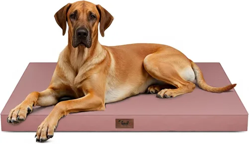 Miniatura 126 de Cama ortopédica de felpa para perros y cachorros medianos, camas impermeables para perros de 30 x 20 pulgadas con funda extraíble lavable, tapete