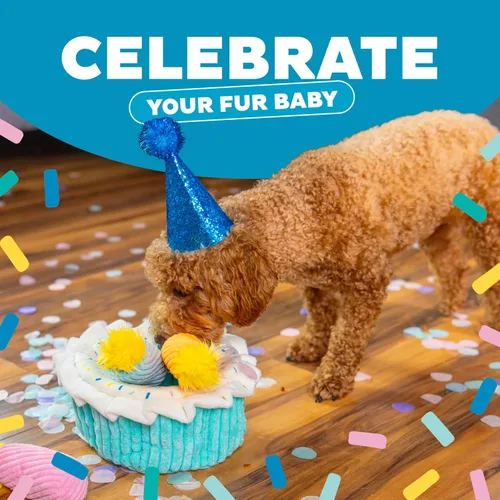 Miniatura 4 de Outward Hound Hide A Birthday Cake, rompecabezas de peluche con temática de cumpleaños para perros