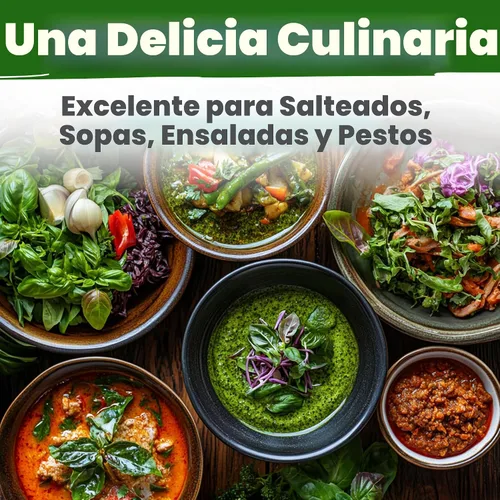 Miniatura 8 de HOME GROWN Paquete de semillas de albahaca tailandesa – 438 semillas de hierbas tradicionales de alta germinación para plantar, ideal para cultivar