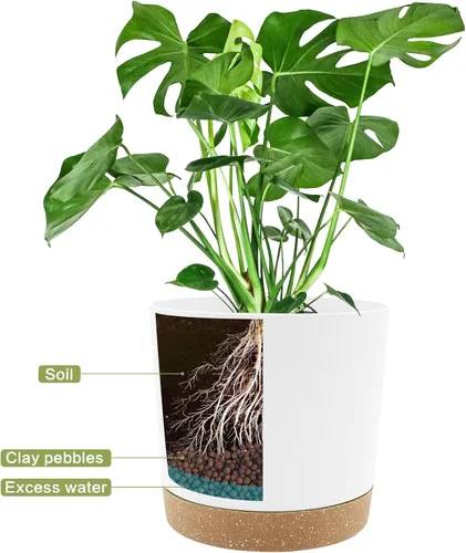 Miniatura 4 de QCQHDU Maceta de 8 pulgadas, paquete de 2 macetas para plantas de interior con agujeros de drenaje y platillo, macetas para exteriores, decoración