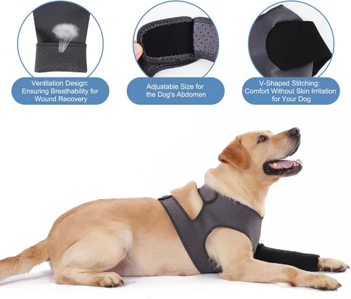 Miniatura 3 de Manga de recuperación para perro, traje de recuperación para perro, manga resistente a la abrasión, pierna delantera, lavable de 0.18 pulgadas