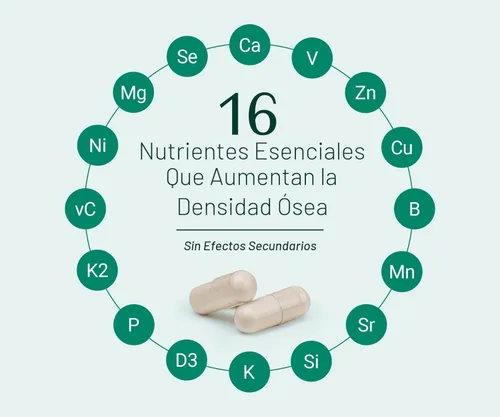 Miniatura 5 de AlgaeCal Plus - Suplemento de calcio, algas rojas naturales a base de plantas con vitamina D3 + K2, magnesio, boro y oligominerales, aumenta
